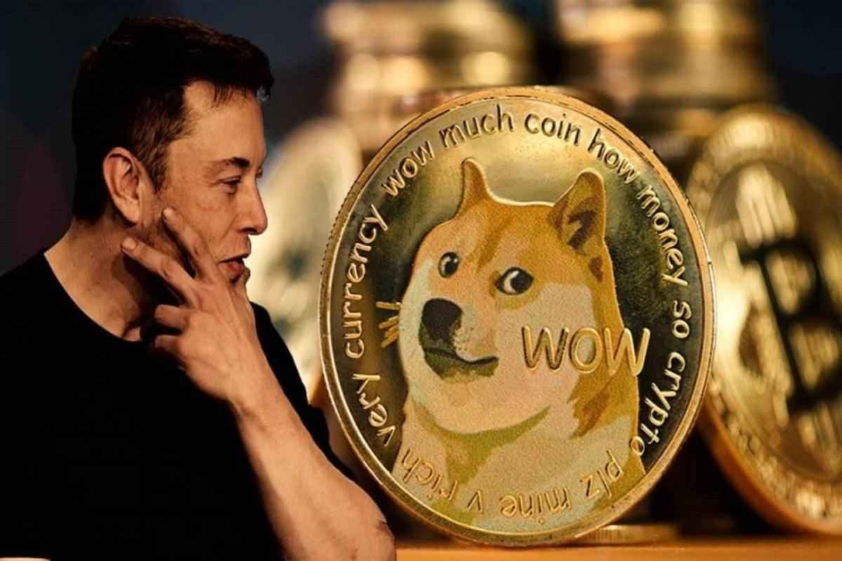 Top Richest Dogecoin Addresses and Dogecoin distribution