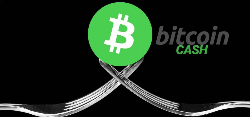 A History of Bitcoin Hard Forks