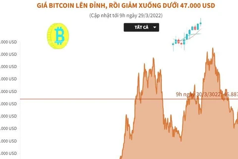 Vietnamese earn over VND9 trillion profit from cryptocurrencies in 