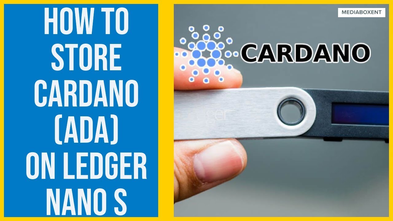 Staking Cardano on Ledger? Our Guide can Help!