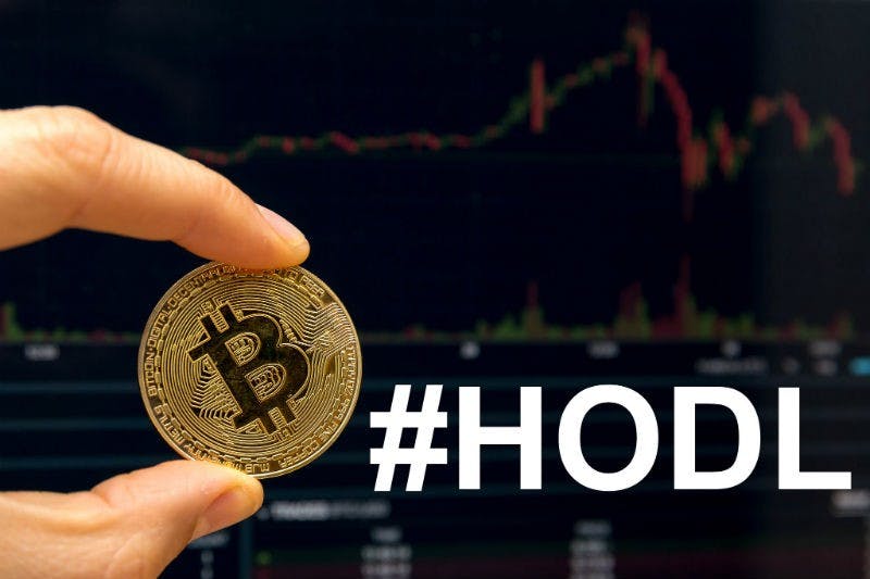 Hodl Token Price - HODL Live Chart & Trading Tools