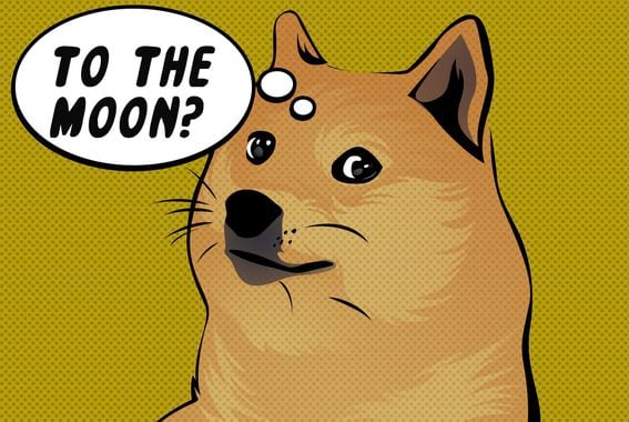 Dogecoin plunges after rally, sparking outcry on Reddit - BNN Bloomberg