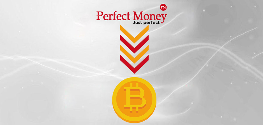 Make P2P and B2B payment with Perfect Money