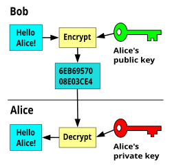 Gram - Wikidata