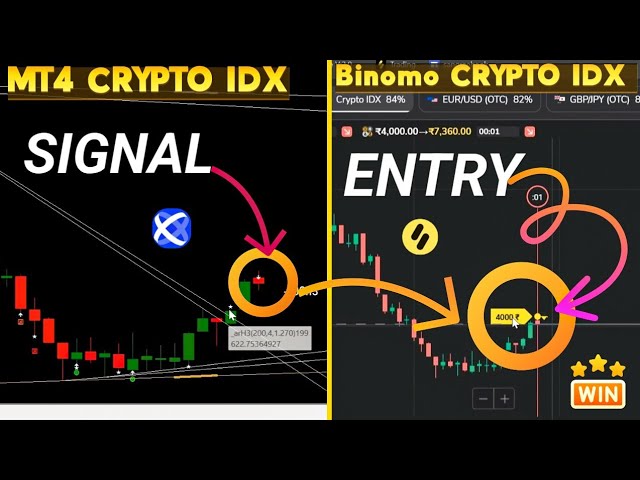 Cryptocurrency Trading Hours | Are Crypto Markets Always Open | IFCM India