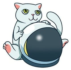 CAT to USD Price today: Live rate Catcoin BSC in US Dollar