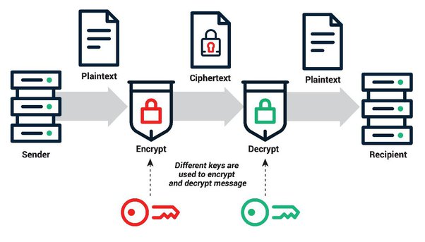 How to Create a Crypto Wallet in 