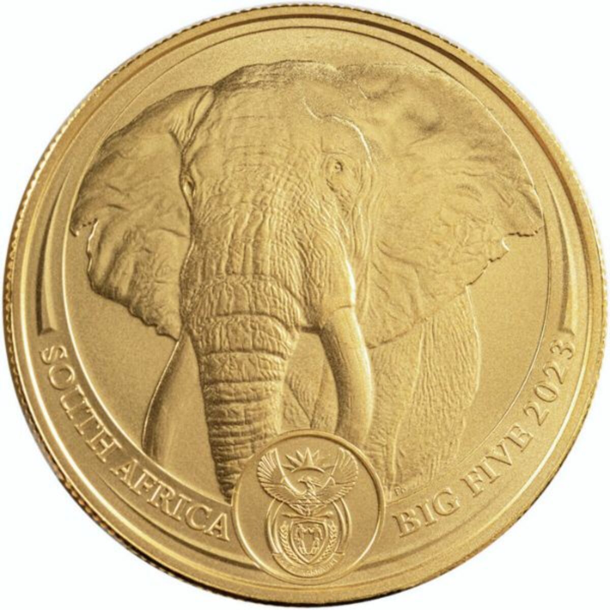 1 oz South Africa Gold Big Five Coins | Amergold