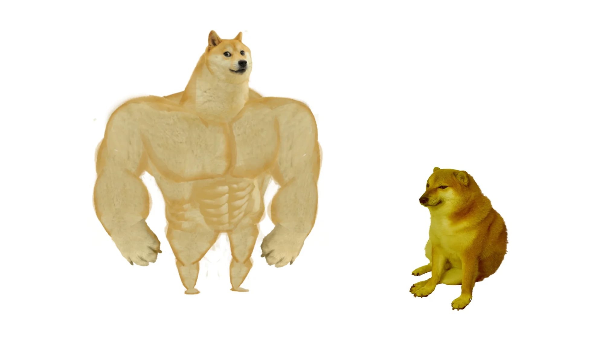 Weak doge Meme Generator - Imgflip