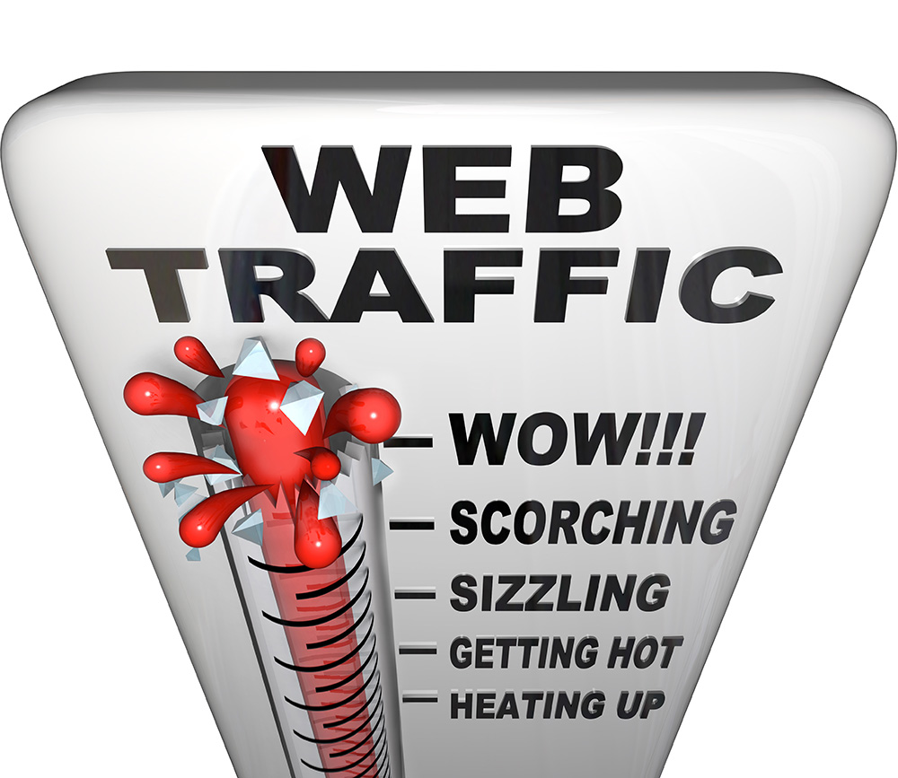 Buy Bulk Traffic from WebTrafficGeeks