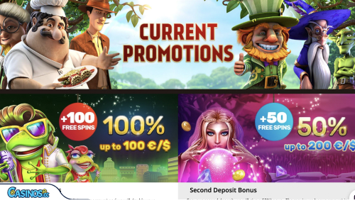 Playamo Casino No Deposit Bonus Codes For Free Spins - Tampa Rangers