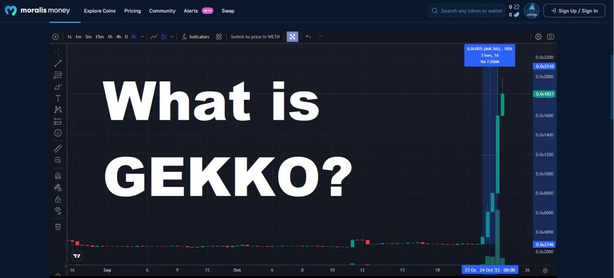 About Gekko - Gekko