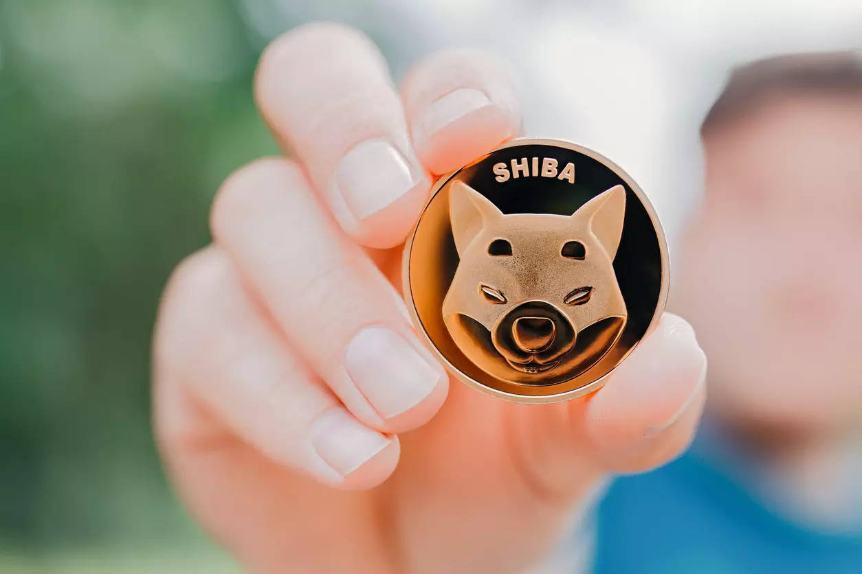 Shiba Inu Price (SHIB INR) | Shiba Inu Price in India Today & News (8th March ) - Gadgets 