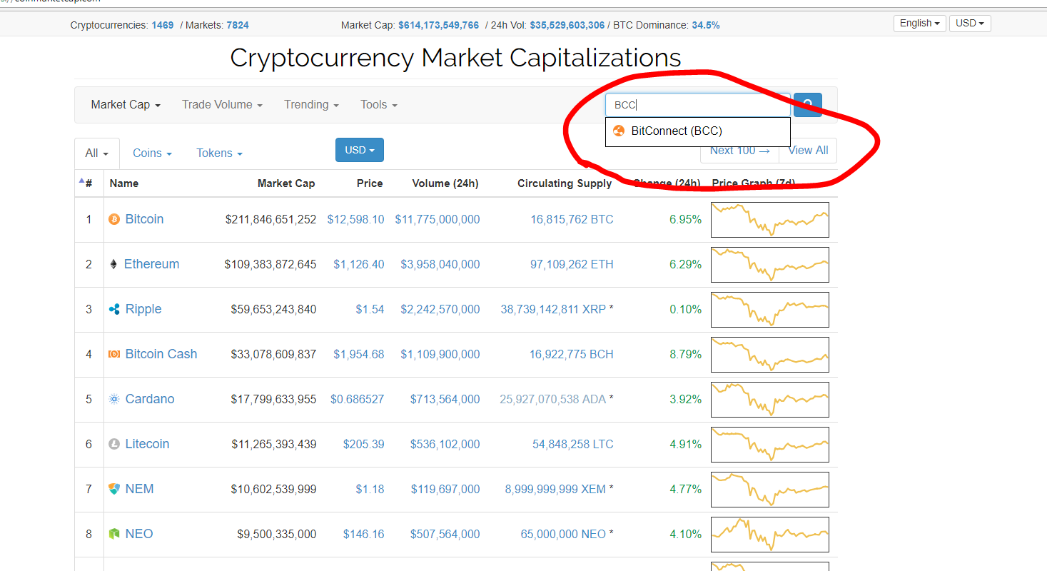 BITCONNECT/SOL Real-time On-chain Raydium DEX Data