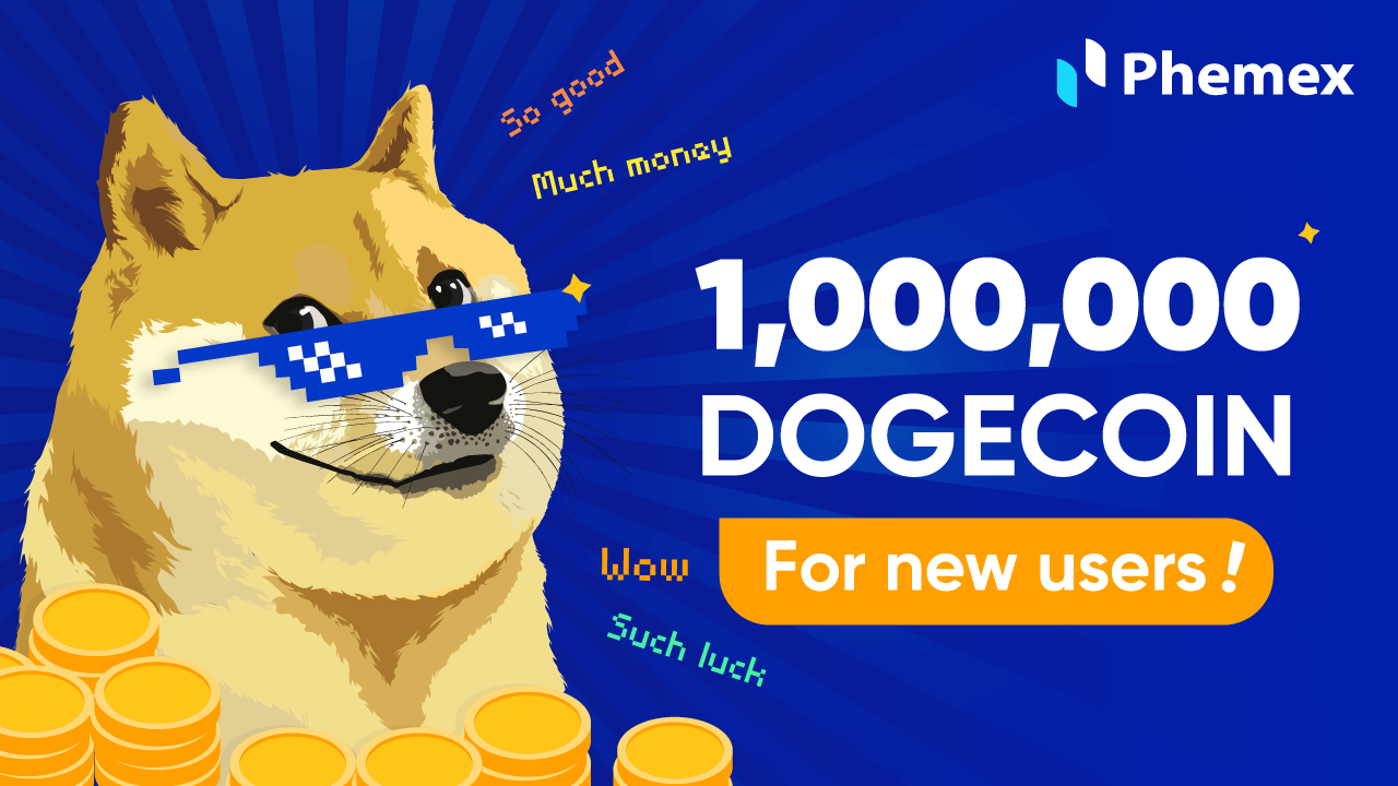 Doges (DOGE) to US Dollars (USD) - Currency Converter