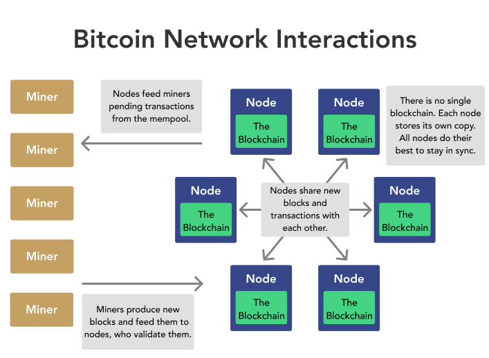 Bitcoin Node Explained | Full BTC Nodes vs. Bitcoin Miners