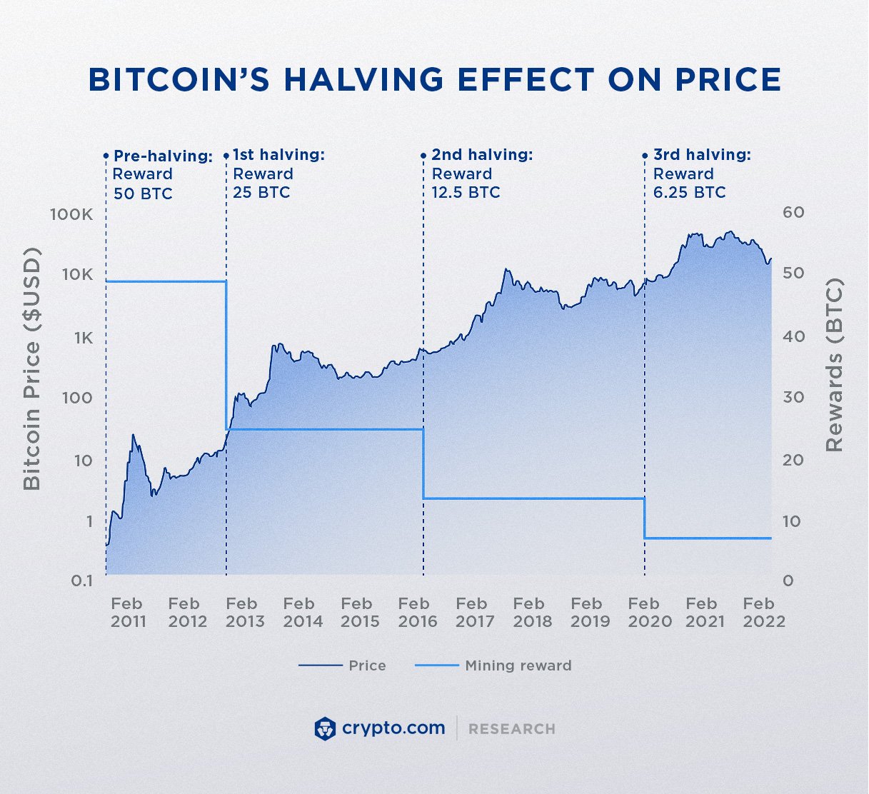 What is the Bitcoin Halving? Unveiling the Most Important Event in Bitcoin's History