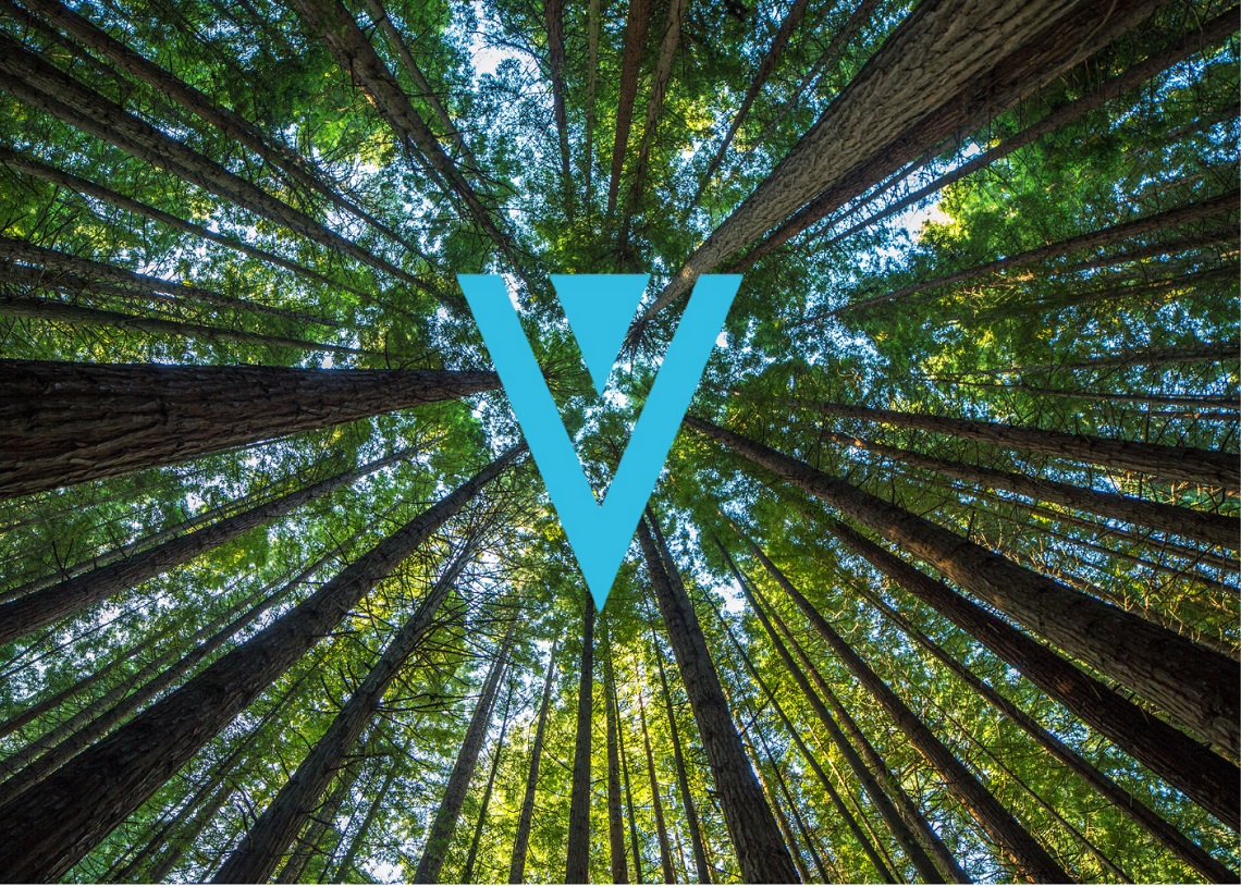 Verge (XVG) Overview - Charts, Markets, News, Discussion and Converter | ADVFN