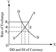 [Class 12 Economics] What is Currency and Foreign Exchange Rate?