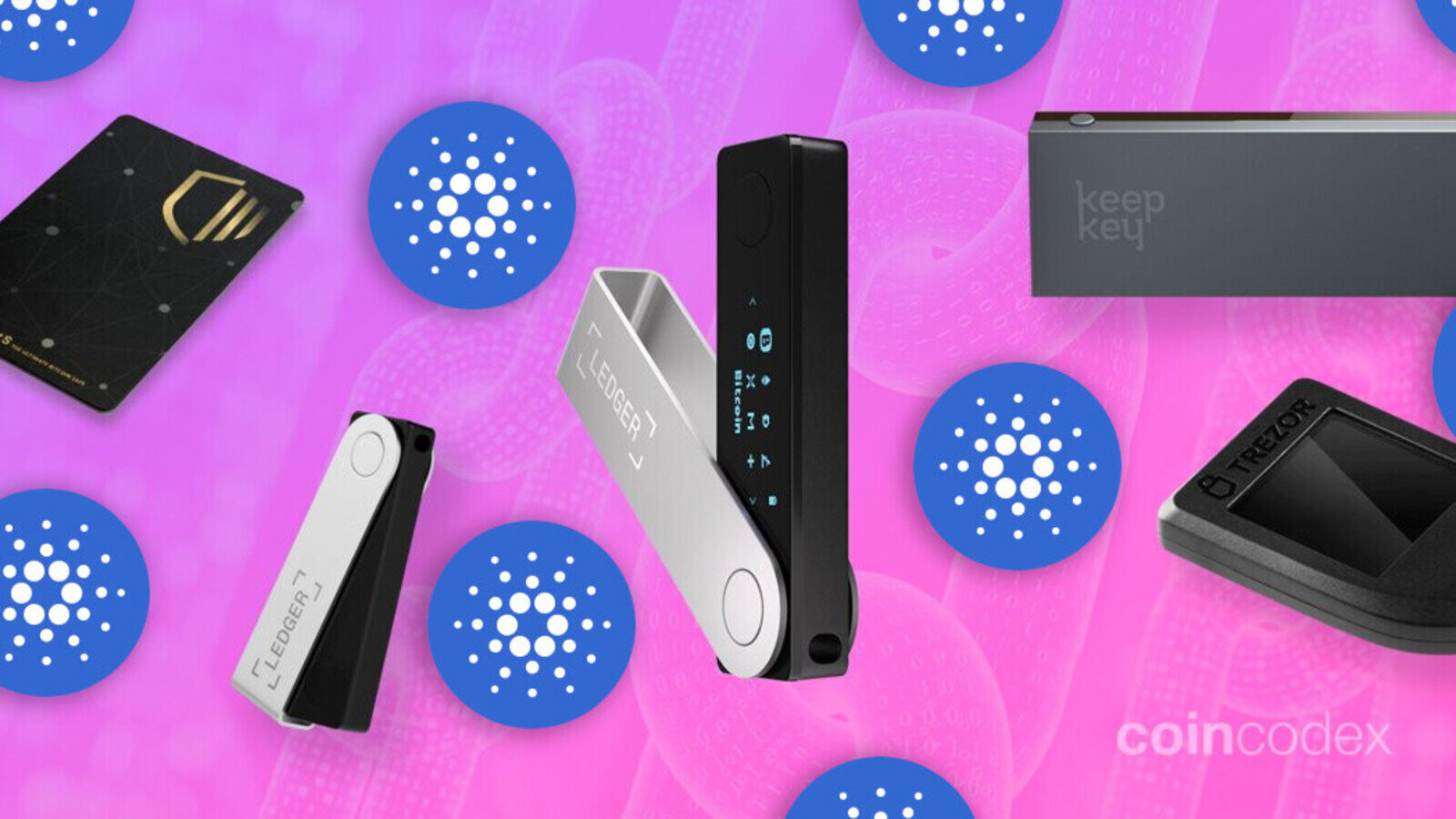 5 Best Cardano Hardware Wallets in | CoinCodex