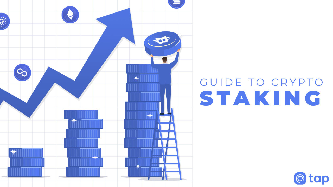 Guide to Crypto Staking for Beginners: Let’s Earn Big • Blog Cryptomus