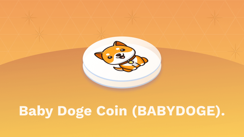 Baby Doge Coin [BabyDoge] Live Prices & Chart