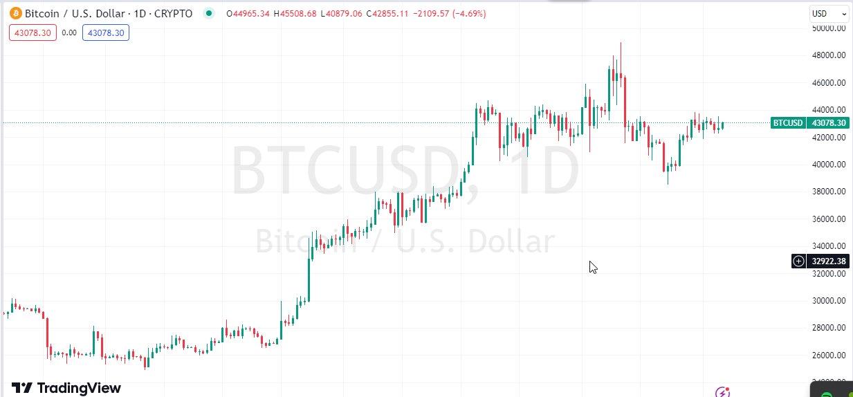 Bitcoin Year Prediction