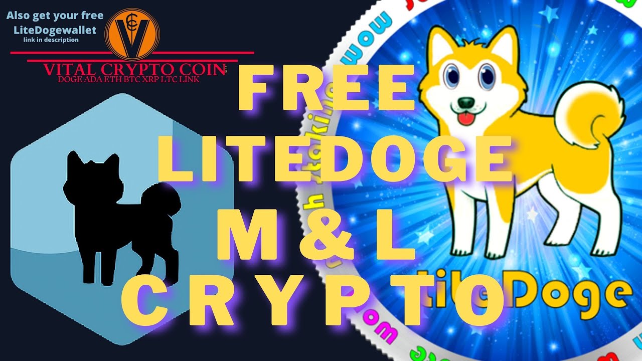 LiteDoge price now, Live LDOGE price, marketcap, chart, and info | CoinCarp