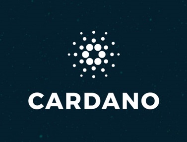 Cardano(ADA) Tokenomics and ICO/IDO (Token Sale) info | CoinCarp