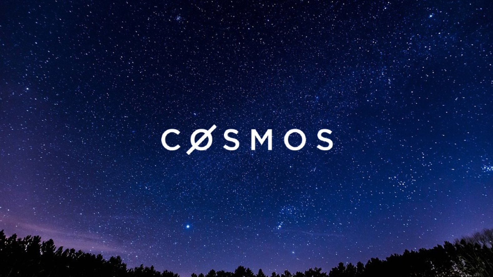 Investing In Cosmos (ATOM) - Everything You Need to Know - 1001fish.ru