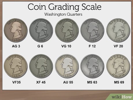 Everything You Need to Know About Grading with PCGS or NGC