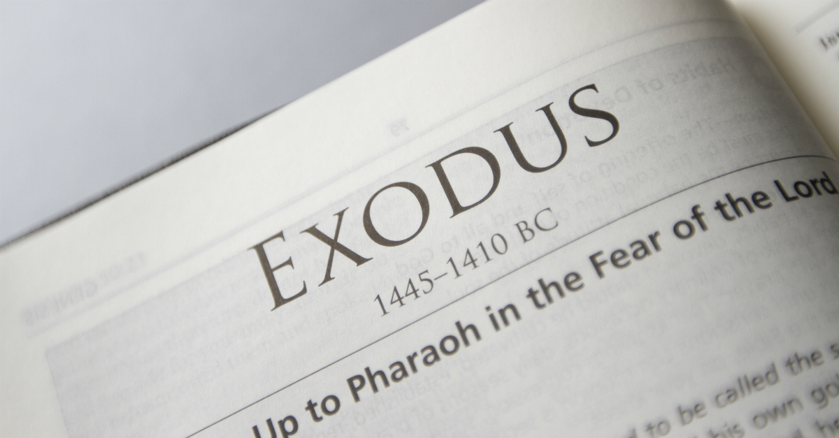 Sh'mot: The Meaning of Exodus' Hebrew Name — FIRM Israel