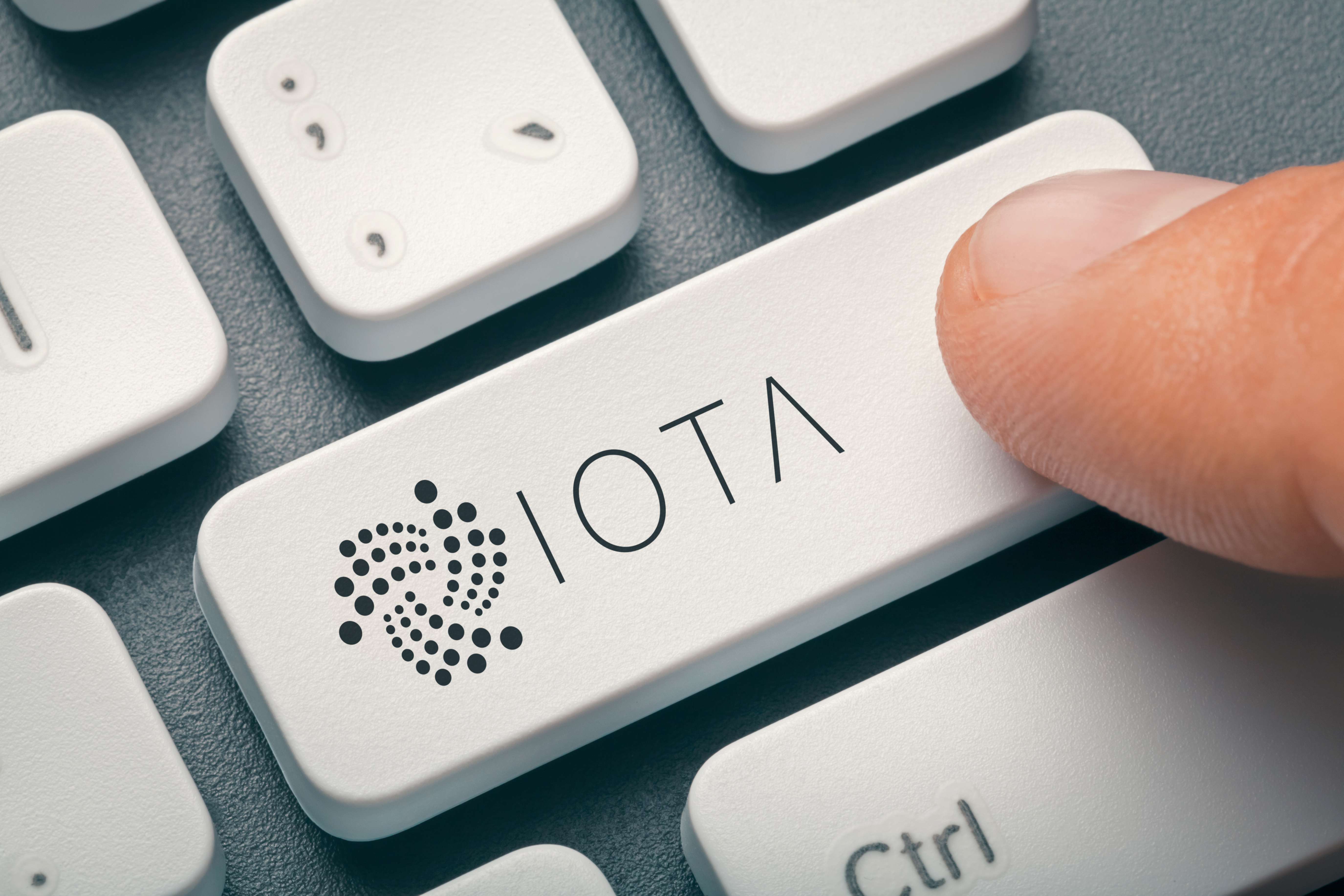 IOTA (IOTA) Staking at % - 1001fish.ru