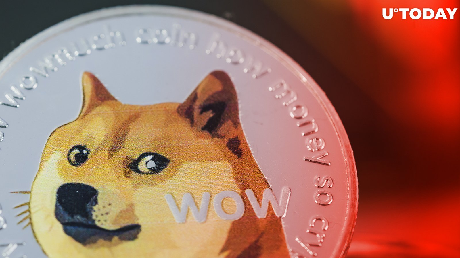 Dogecoin Price in India Today, DOGE INR Price Chart & Market Cap (2 Mar ) | 1001fish.ru