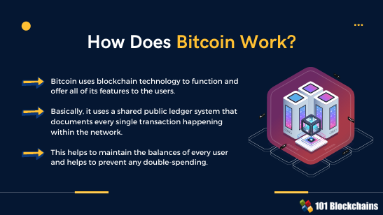 Digital Currencies | Explainer | Education | RBA