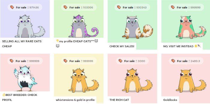 Cryptokitties - CoinDesk