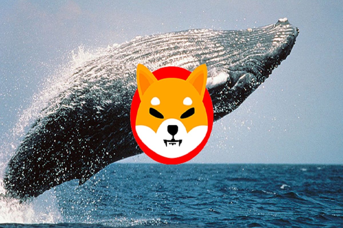 Here's why crypto Shiba Inu is the first pick among wealthiest Ethereum whales