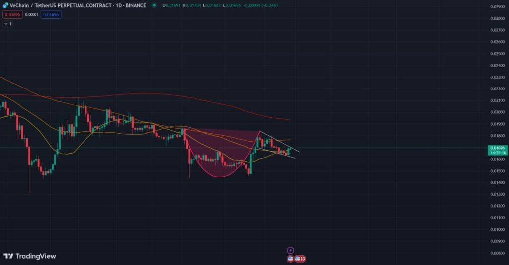 VeChain: VET Rises 7% After Being Listed on Coinbase