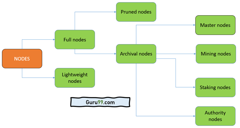 Light, Full, and Master Nodes: Definition, Differences