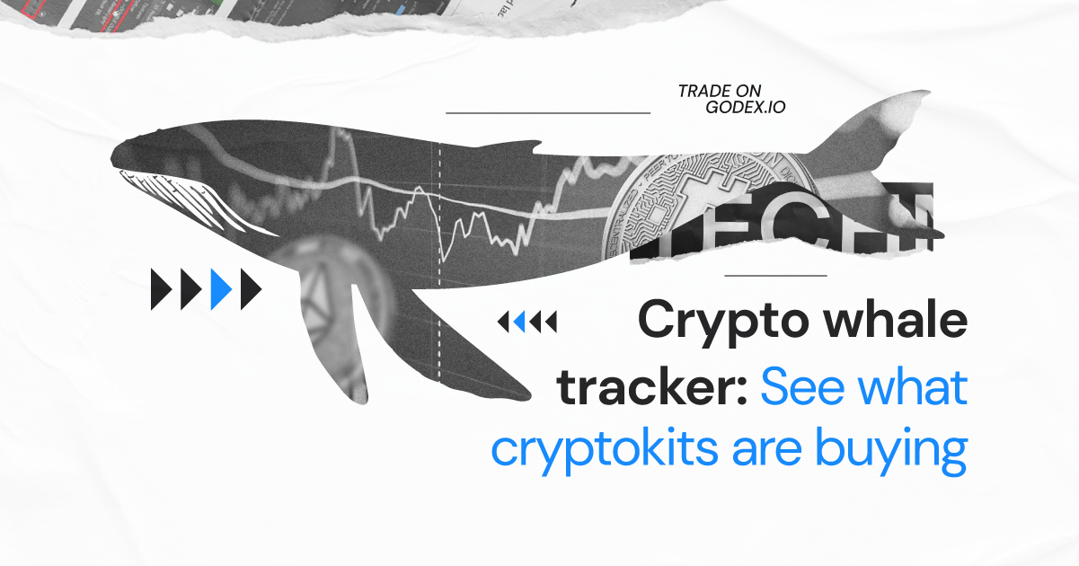 An Introduction to Crypto Whale Tracking