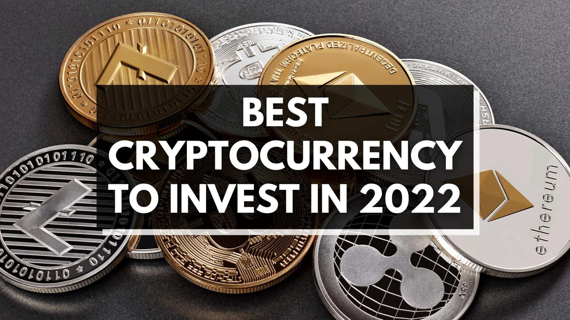 7 Best Long-Term Cryptocurrencies for | CoinLedger