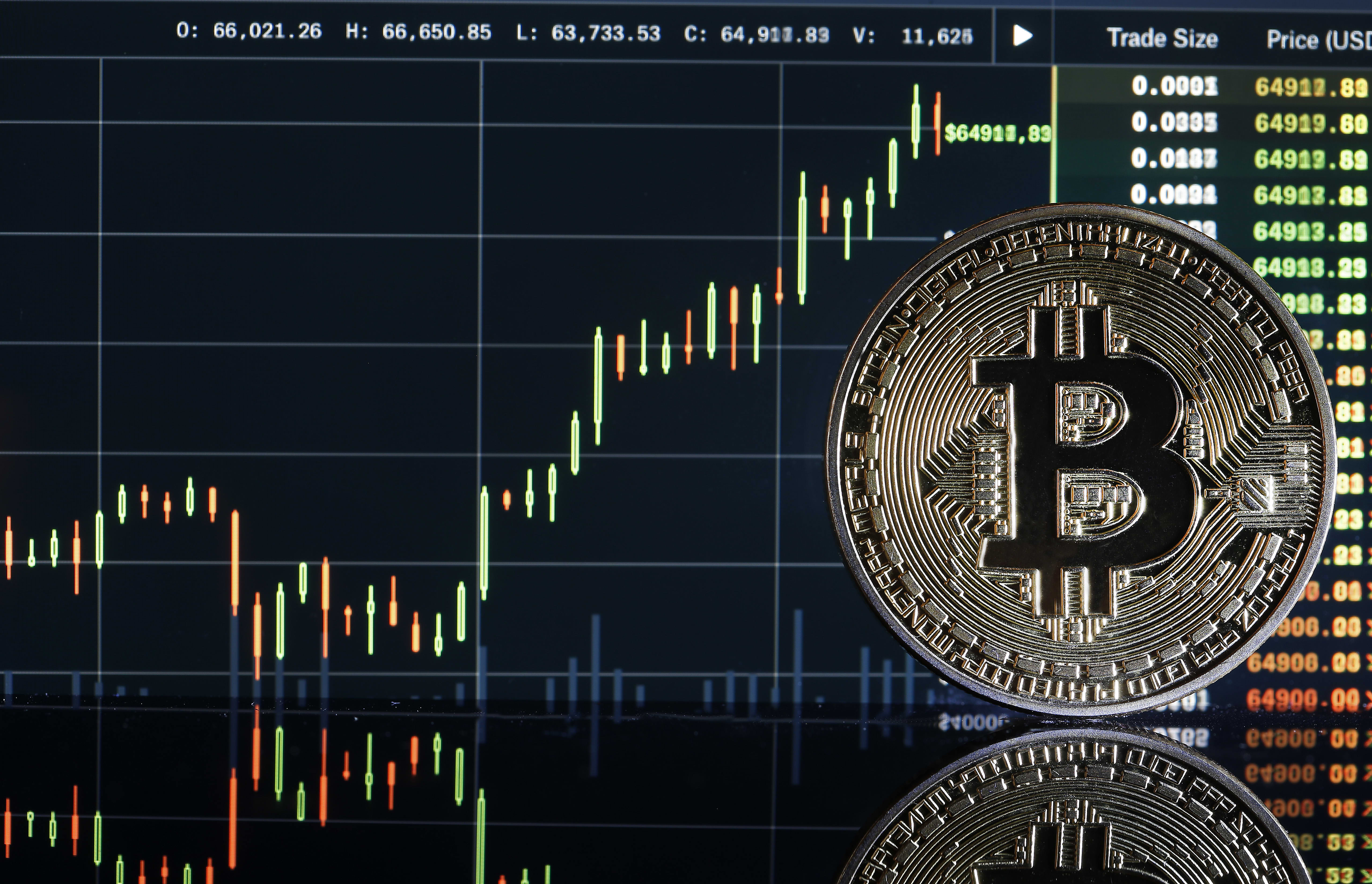 The brutal truth about Bitcoin | Brookings