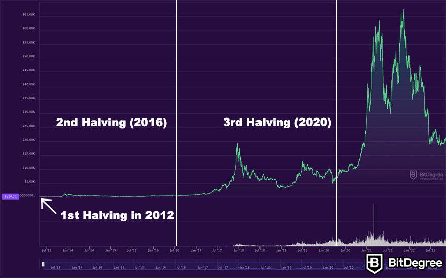 Bitcoin Halving Dates: Live BTC Halving Countdown 