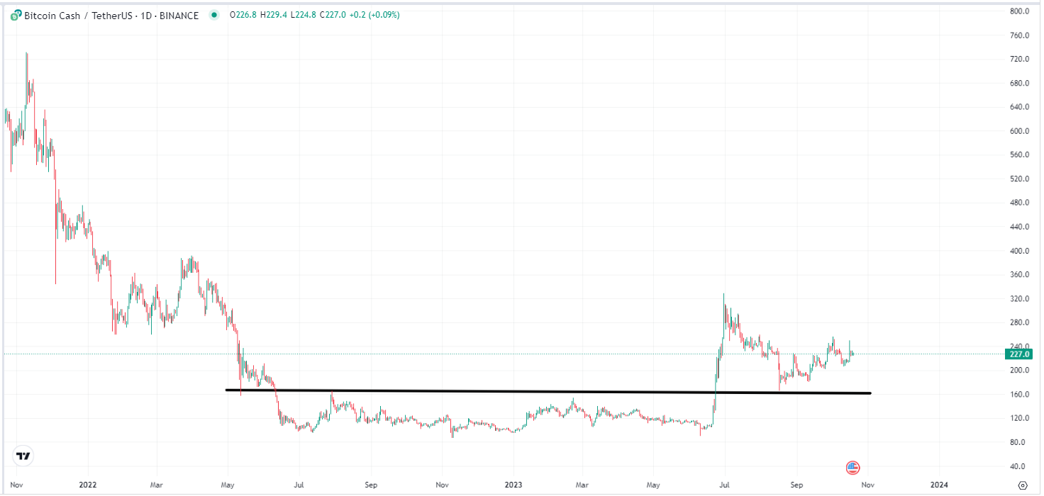 BCHG - Grayscale Bitcoin Cash TR Bch Stock Price History - 1001fish.ru