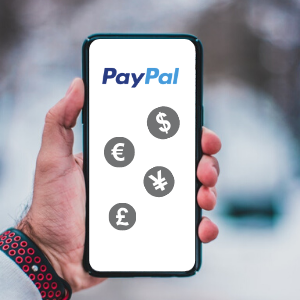 Where can I find PayPal's currency calculator and exchange rates? | PayPal GB