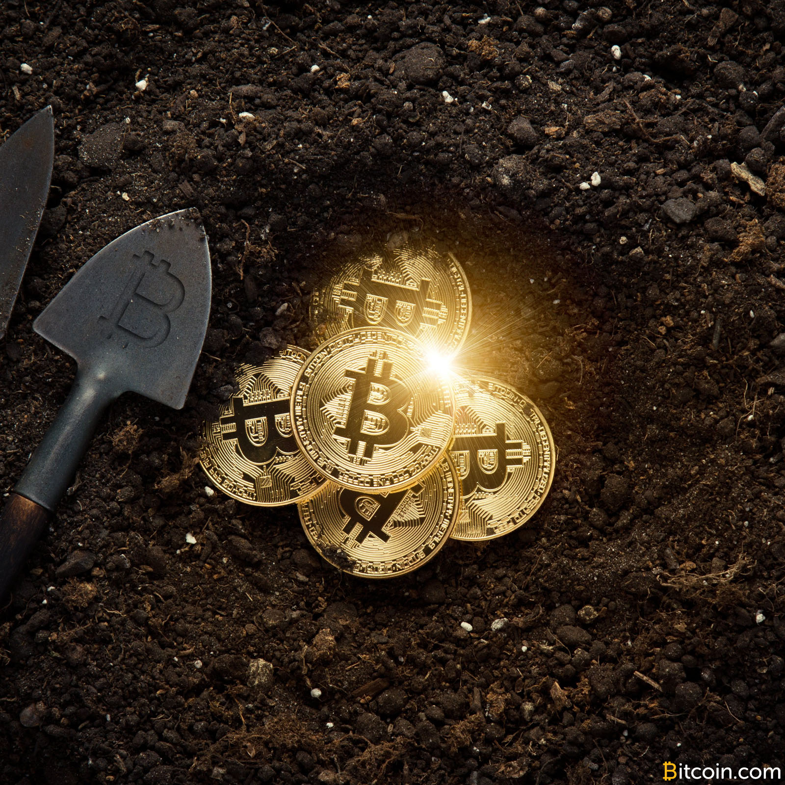 Bitcoin Gold Mining - Anleitung zum Mining für Anfänger | BitcoinMag