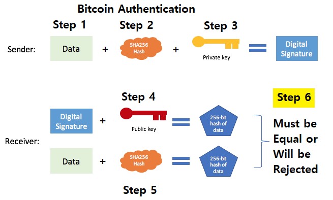 The Best Ways of Speeding Up Bitcoin Transactions Unleashed — CryptoCloud