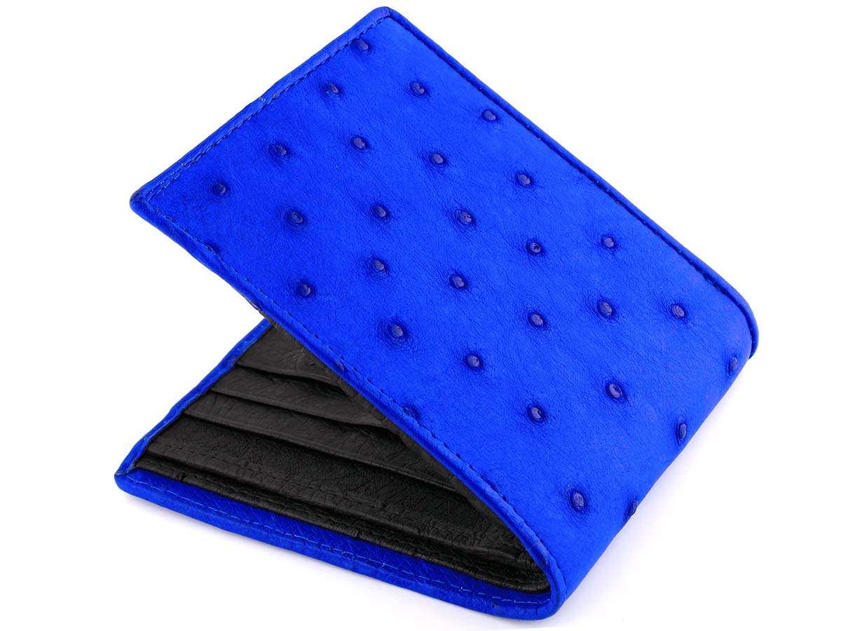 Buy Police Blue Wallet for Men PELGW