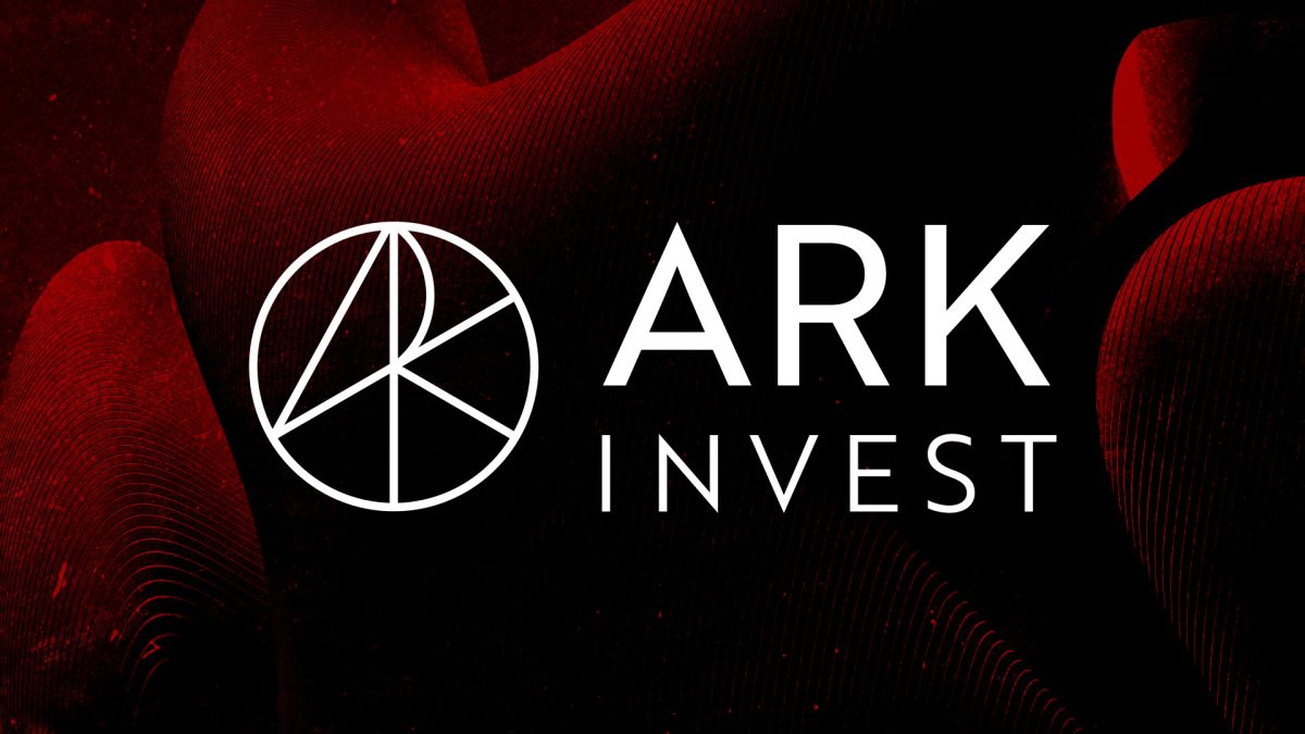 ARK Blockchain Explorer