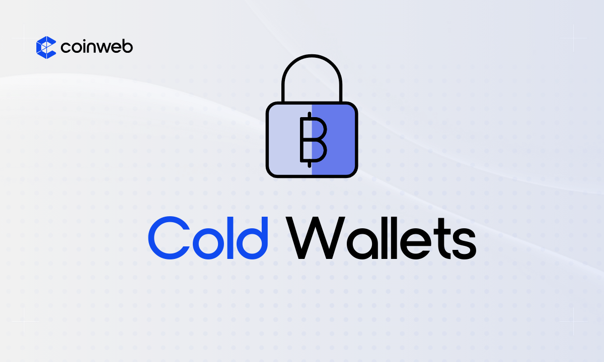 Top Crypto Cold Wallets Reviewed In 